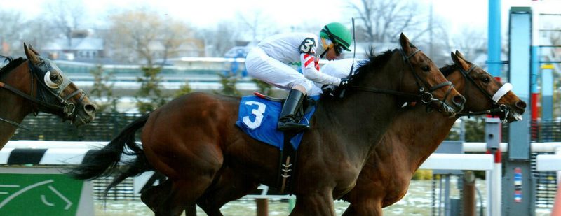 Lookingoutforyou Wins at Aqueduct on January 11, 2015