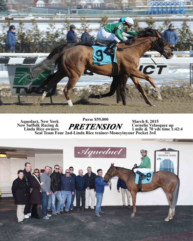 Pretension — 3/8/15