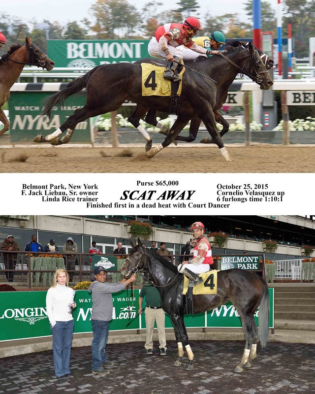 Scat Away — 10/25/15