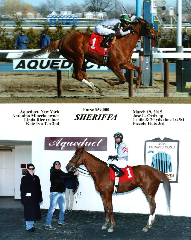 Sheriffa — 3/19/15