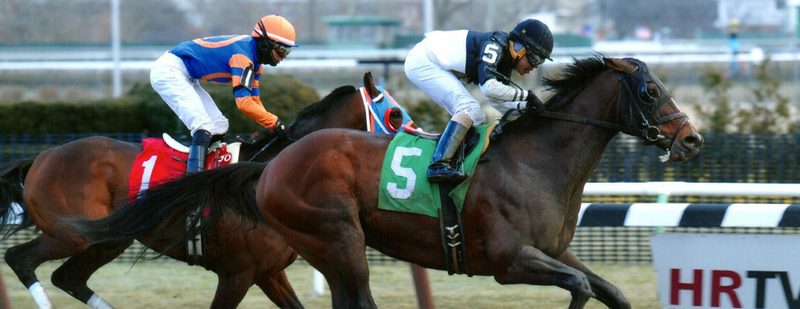 Son of a General Wins at Aqueduct on January 16, 2015