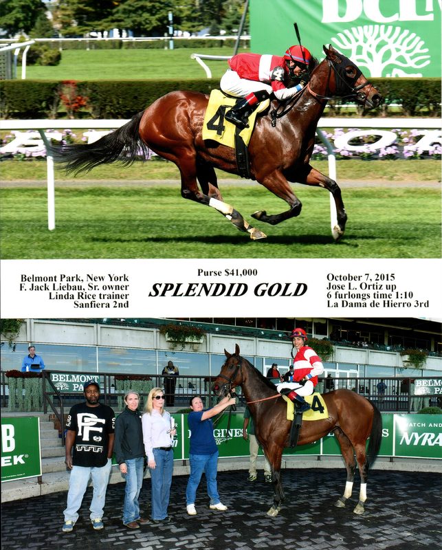 Splendid Gold — 10/7/15