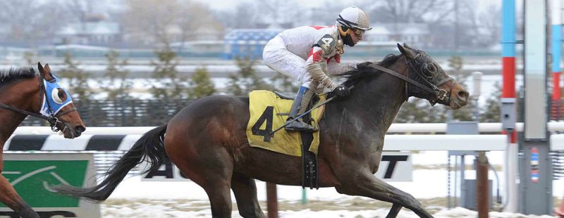 Private Thrill Wins at Aqueduct on February 8, 2015