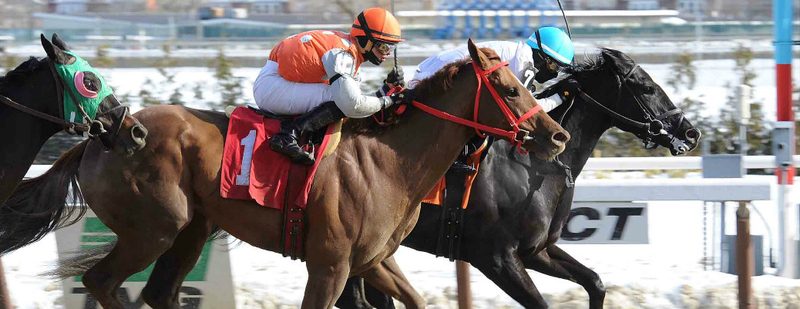 Unrepenting Wins at Aqueduct on February 5, 2015