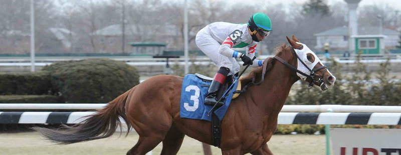 Gypsum Johnny Wins at Aqueduct on March 15, 2015