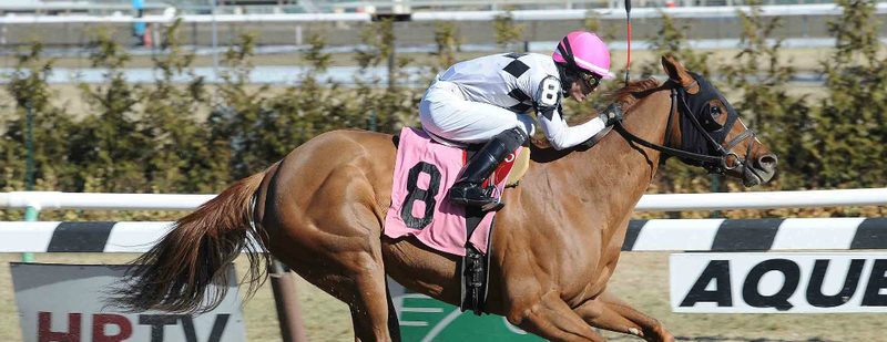Jazzminegem Wins at Aqueduct on March 12, 2015