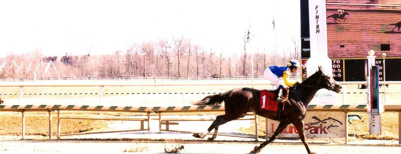 Justoneofakind Wins at Laurel Park on March 15, 2015