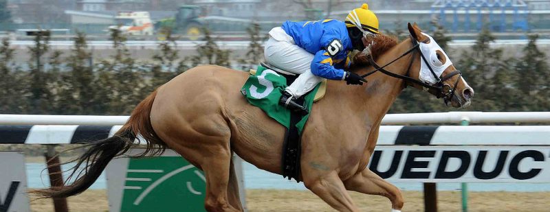 Bella The Bandit Wins at Aqueduct on March 26, 2015