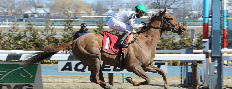 Empower Wins at Aqueduct on March 19, 2015
