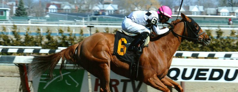 Jazzminegem Wins at Aqueduct on April 2, 2015