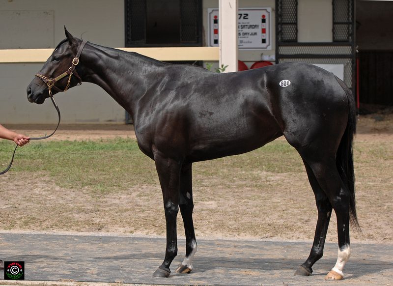 A Banner 2023: Leading NYRA Trainer and a Saratoga Title
