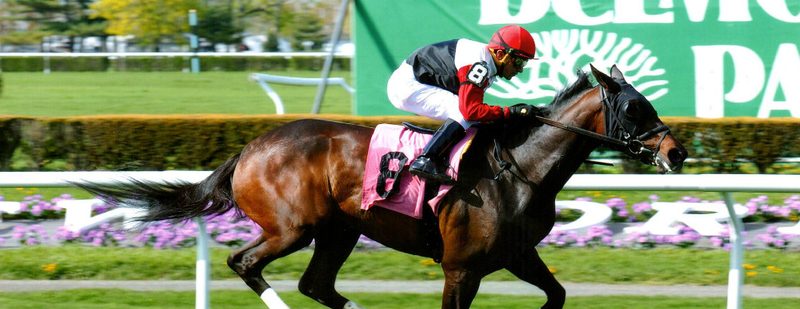 Daisy Cutter Wins at Belmont Park on May 1, 2015