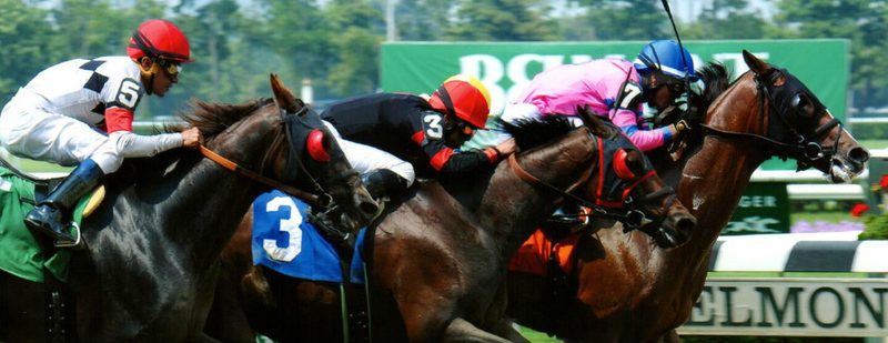 Erik The Red Wins at Belmont Park on June 11, 2015