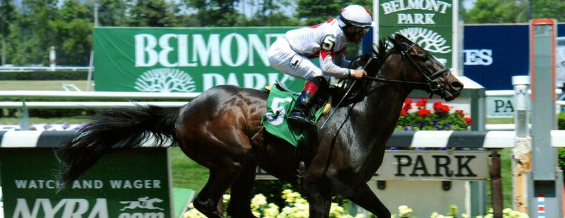 Hidden Warrior Wins at Belmont Park on May 31, 2015