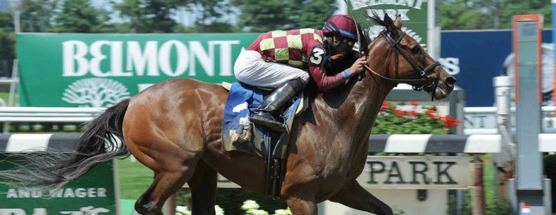 Noble Doss Wins at Belmont Park on July 3, 2015
