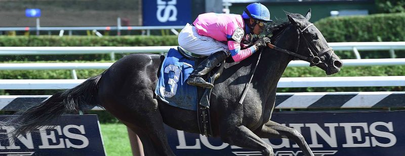 Big Thrill Wins at Belmont Park on August 12, 2015