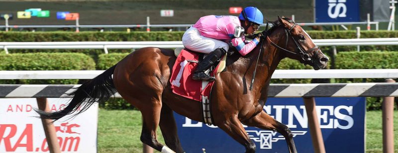Championofthenile Wins at Belmont Park on September 4, 2015
