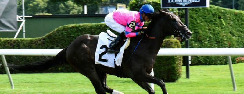 Forever In Love Wins at Saratoga on August 28, 2015
