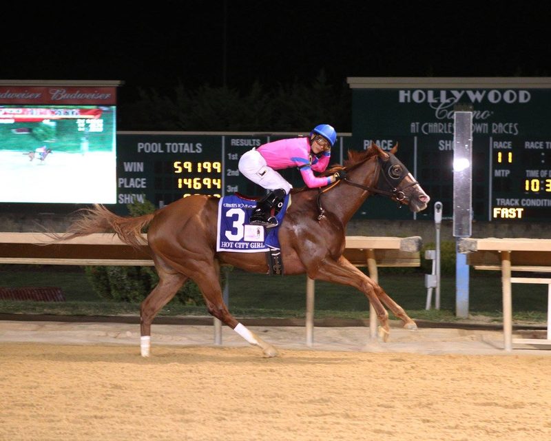 Hot City Girl surprises in Charles Town Oaks