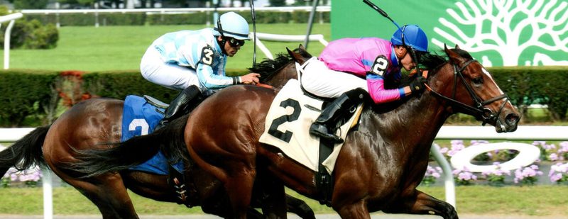 Hotinthehamptons Wins at Belmont Park on October 9, 2015