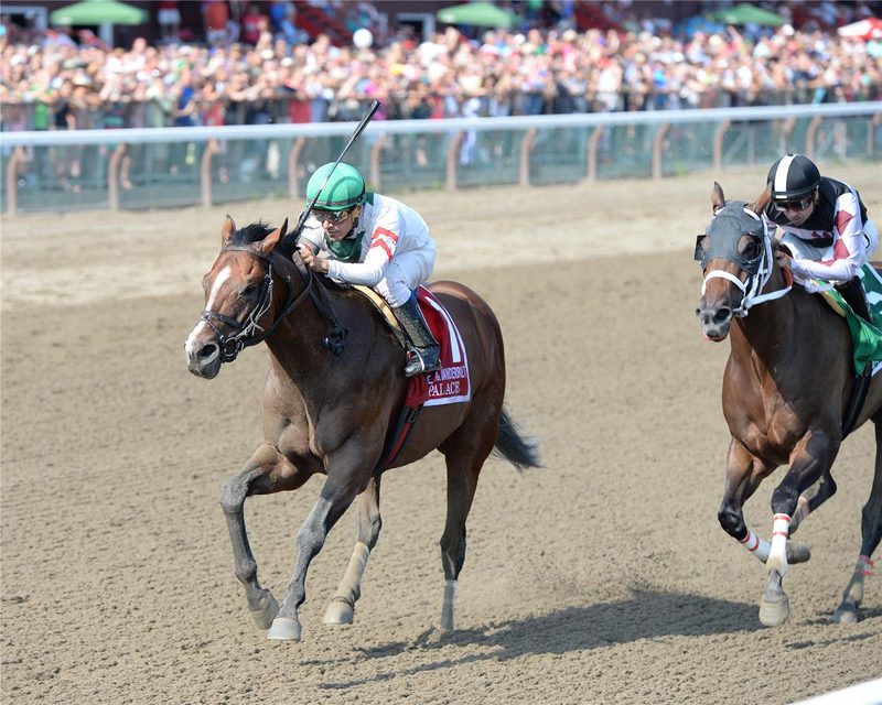 Spendthrift acquires breeding rights to multiple G1 winner Palace