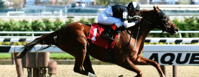 Egyptian Magic Wins at Aqueduct on November 13, 2015