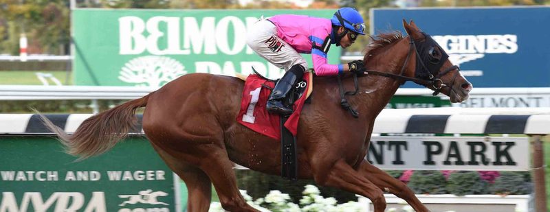 Hot City Girl Wins at Belmont Park on October 29, 2015