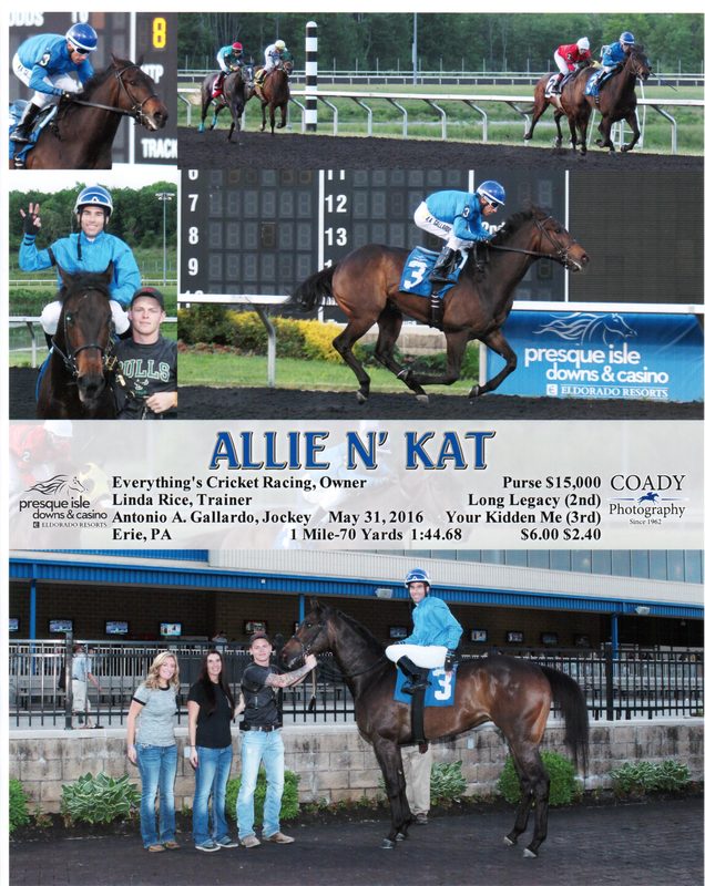 Allie N Kat — 5/31/16