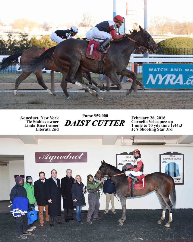Daisy Cutter — 2/26/16
