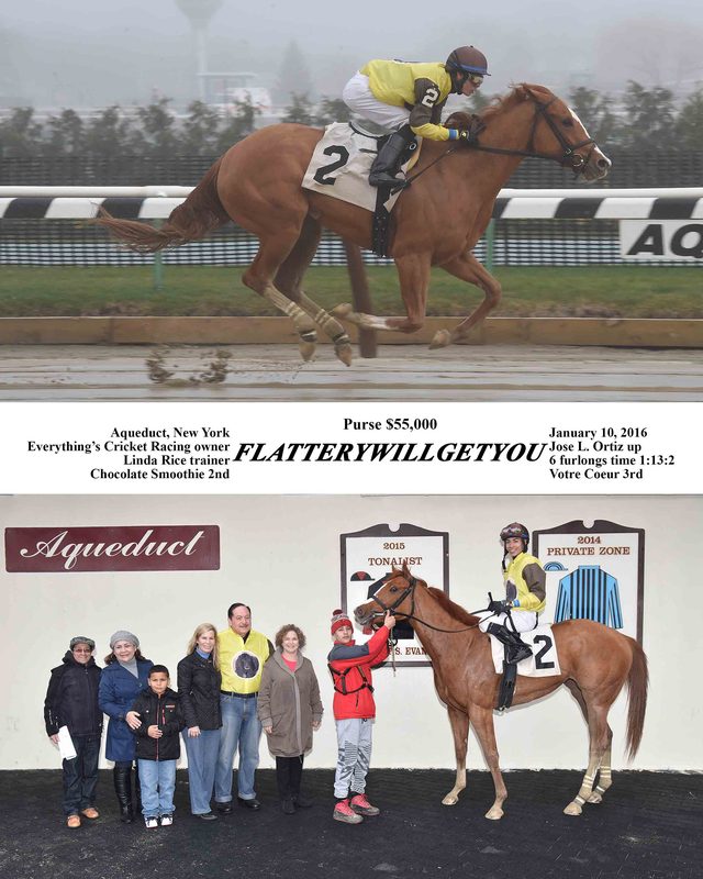 Flatterywillgetyou — 1/10/16