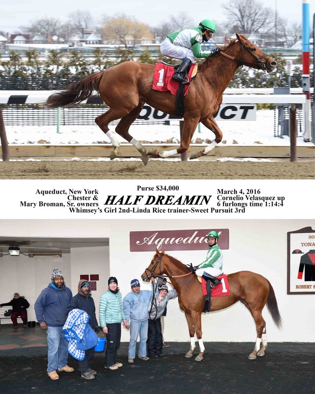 Half Dreamin — 3/4/16