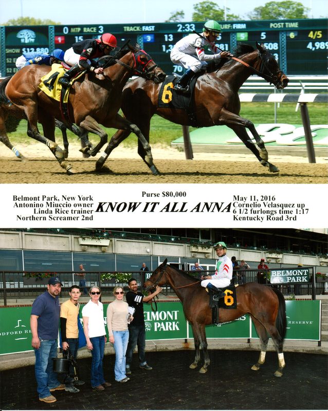 Know It All Anna — 5/11/16