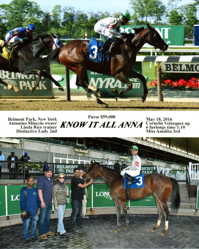 Know It All Anna — 5/18/16