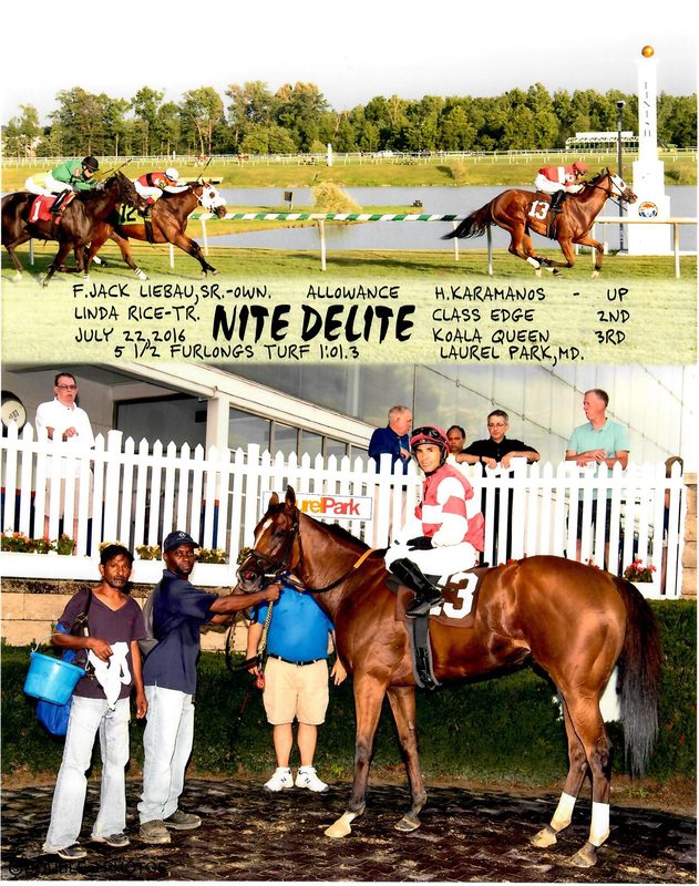 Nite Delite — 7/22/16