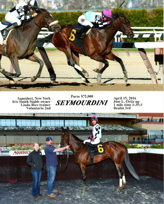 Seymourdini — 4/15/16