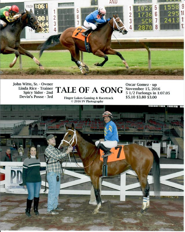 Tale Of A Song — 11/15/16