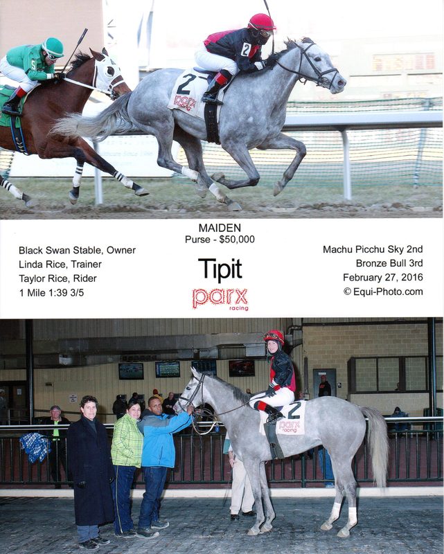 Tipit — 2/27/16