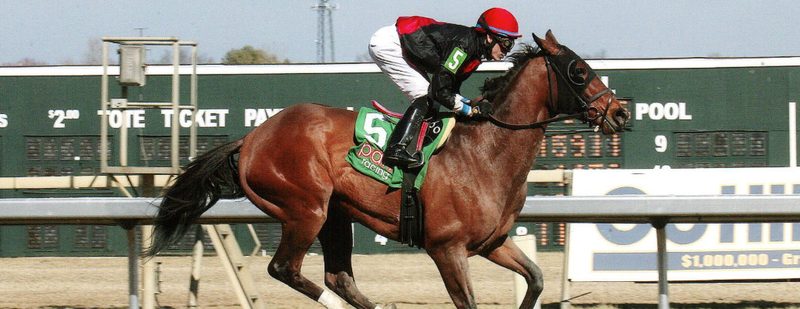 Afleet Skier Wins at Parx Racing on March 7, 2016