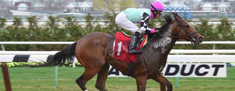 Championofthenile Wins at Aqueduct on March 25, 2016