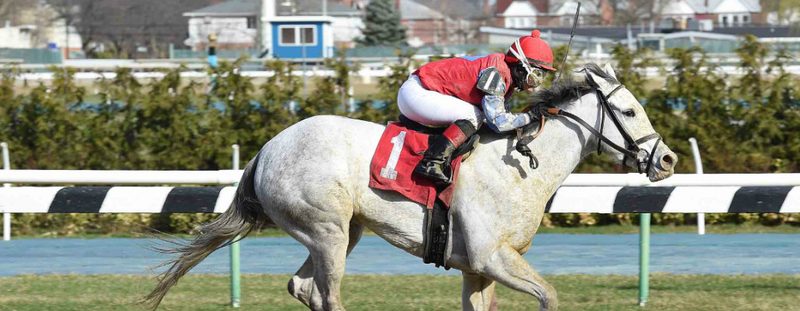 Crystal Pier Wins at Aqueduct on March 17, 2016