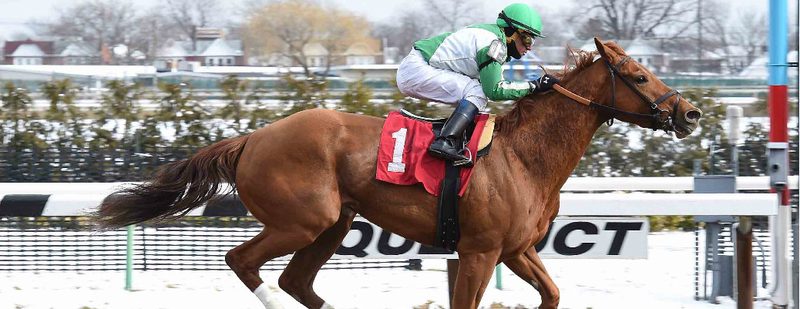 Half Dreamin Wins at Aqueduct on March 4, 2016
