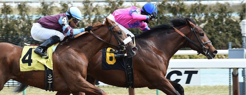 Joy Drive Wins at Aqueduct on March 5, 2016