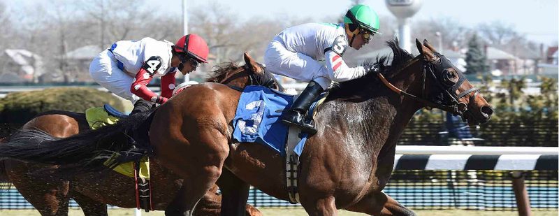 Point Hope Wins at Aqueduct on February 28, 2016
