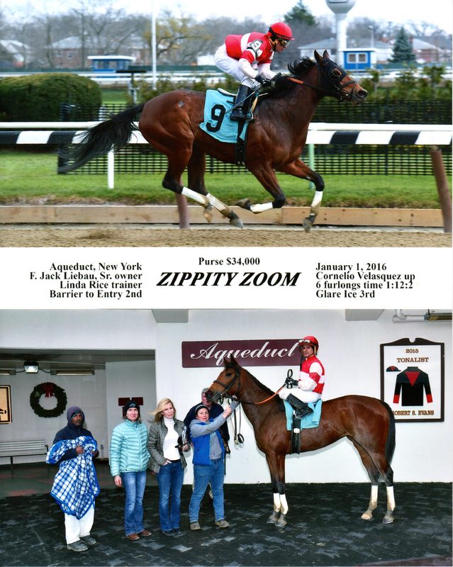 Zippity Zoom — 1/1/16