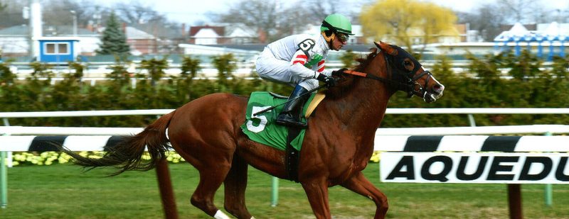 Gypsum Johnny Wins at Aqueduct on March 26, 2016