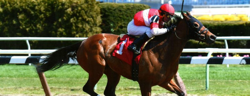 Zippity Zoom Wins at Aqueduct on March 26, 2016