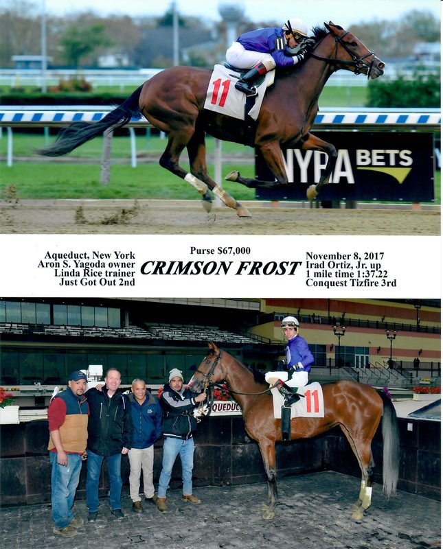 Crimson Frost — 11/8/17