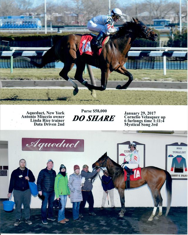 Do Share — 1/29/17