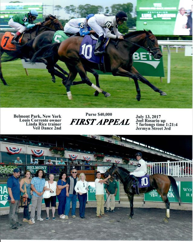 First Appeal — 7/13/17