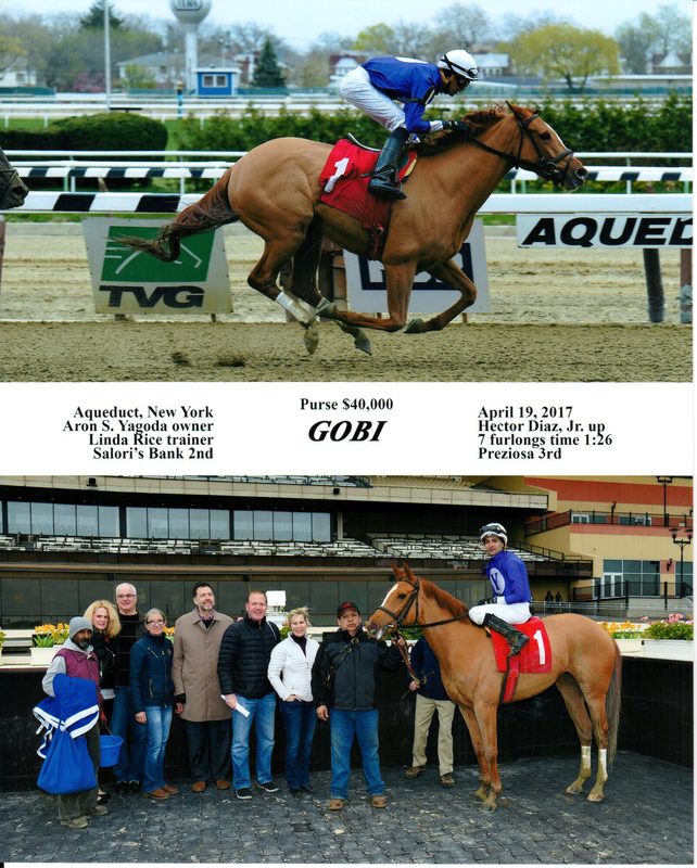 Gobi — 4/19/17